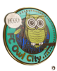 FC_Owl_City